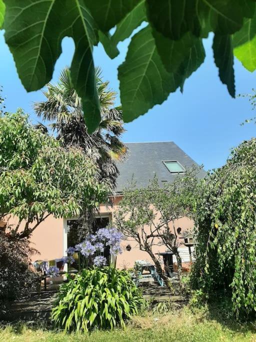 La Maison Rose - Avec Grand Jardin Clos A 300M De La Mer Hauteville-sur-Mer Εξωτερικό φωτογραφία