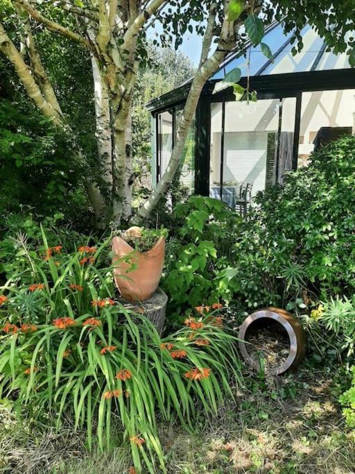 La Maison Rose - Avec Grand Jardin Clos A 300M De La Mer Hauteville-sur-Mer Εξωτερικό φωτογραφία